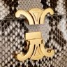 Celine Teen Triomphe Bag In Python Cross-Body Bags Women Natural