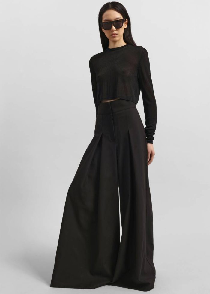 Bottoms Hemer Pleated Wide Leg Trousers - Black The Frankie Shop Women Black
