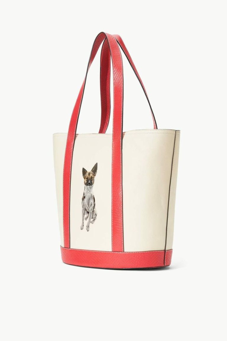 Custom Allora Tote Cream Red Rose Women Staud Totes