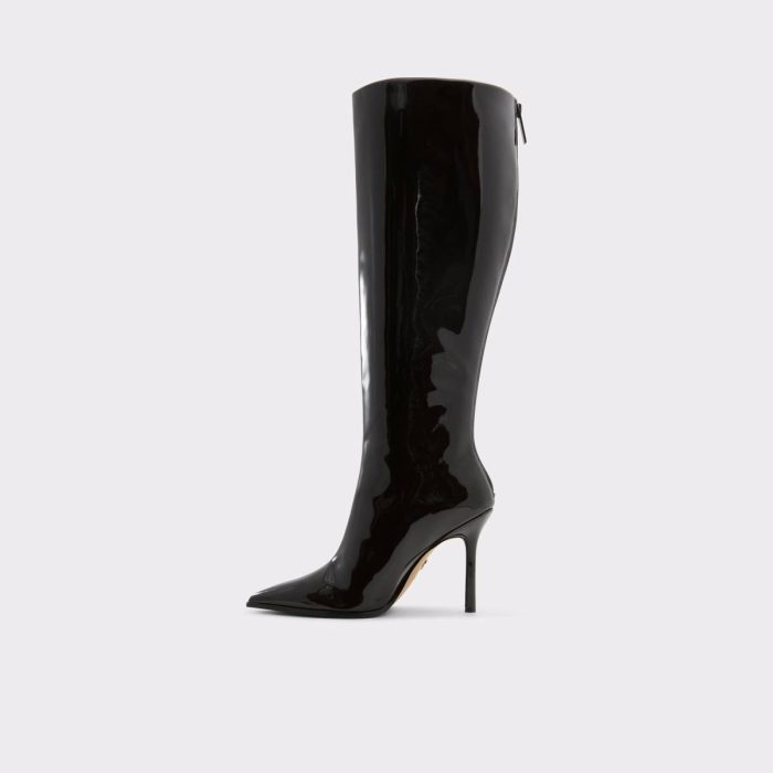 Dark Brown Women Aldo Boots Maybellie-Wc Dark Brown Women's Tall Boots