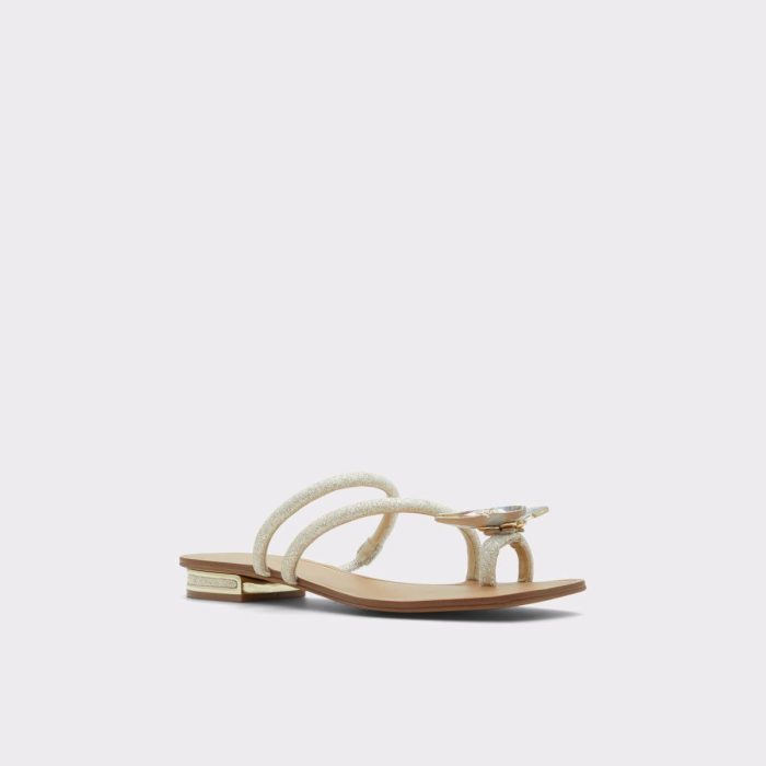 Garberia Silver Women's Flat Sandals Women Aldo Heels Silver