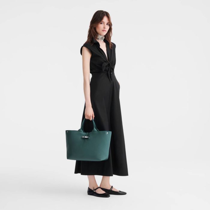 Le Roseau L Handbag Cedar - Leather Leather Bags Longchamp Cedar Women